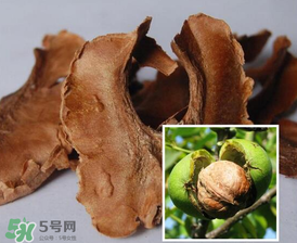 核桃分心木能長期喝嗎？核桃分心木一天喝幾次？