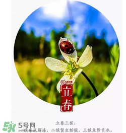 立春可以出門嗎？立春為什么不能出門？