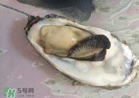 生蠔多少錢一斤？生蠔一斤有幾個？