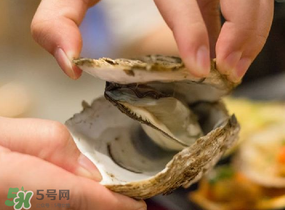 生蠔里面黑色的能吃嗎？生蠔里面黑色的是什么？