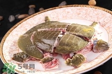 有乙肝可以吃甲魚嗎？乙肝患者禁吃甲魚