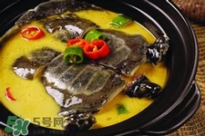 有乙肝可以吃甲魚嗎？乙肝患者禁吃甲魚