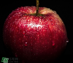 蘋果放在水里是沉還是浮？蘋果的密度是多少？