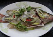 桂魚蒸多長時間？桂魚水開后蒸多長時間？