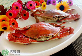 臘月吃什么蟹？臘月吃公蟹還是母蟹？
