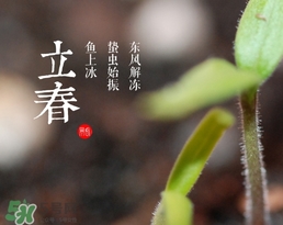 立春吃什么蔬菜？立春時(shí)令蔬菜推薦