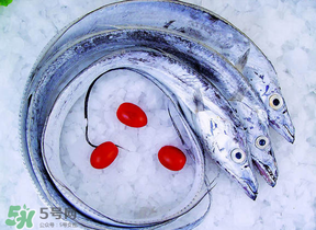 帶魚多少錢一斤？帶魚多少錢一箱？