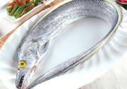 帶魚多少錢一斤？帶魚多少錢一箱？