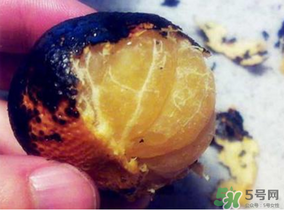 橘子烤著吃會(huì)上火嗎？烤橘子上火嗎？
