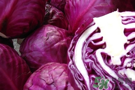 紫甘藍(lán)是轉(zhuǎn)基因食品嗎？紫甘藍(lán)是轉(zhuǎn)基因蔬菜嗎？