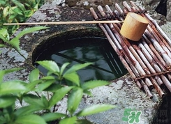 井華水是什么？井華水的含義