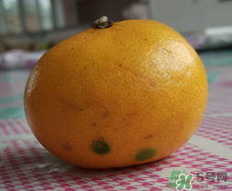 橘子皮發(fā)霉可以吃嗎？吃了發(fā)霉的橘子怎么辦？