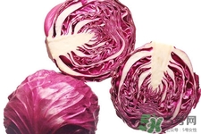 紫甘藍和包心菜哪個更營養(yǎng)？紫甘藍和包心菜的區(qū)別