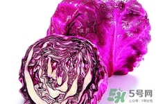 紫甘藍和包心菜哪個更營養(yǎng)？紫甘藍和包心菜的區(qū)別