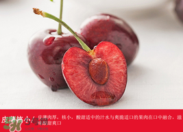 車厘子哪里產(chǎn)的最好？車厘子產(chǎn)地在哪里？