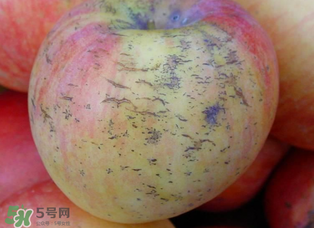 蘋果裂紋能吃嗎？蘋果裂紋是怎么回事？