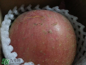 蘋果裂紋能吃嗎？蘋果裂紋是怎么回事？