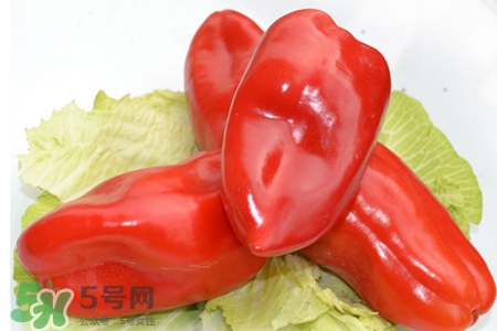紅椒怎么保存？紅椒的儲(chǔ)存方法