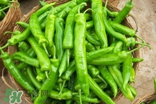尖椒怎么太辣怎么辦？尖椒怎么炒不辣？