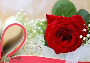 情人節(jié)送什么顏色的玫瑰花好？情人節(jié)送幾朵玫瑰花好？
