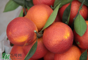 血橙多少錢一斤？四川血橙多少錢一斤？
