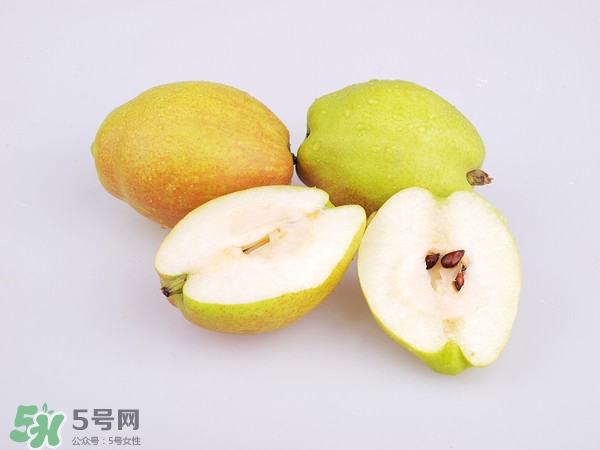庫爾勒香梨分公母嗎？庫爾勒香梨怎么分公母？