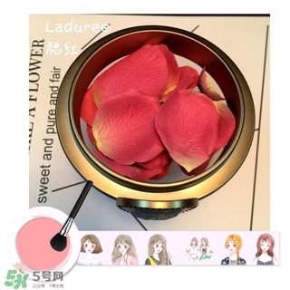 laduree拉杜麗5周年限定玫瑰腮紅多少錢？