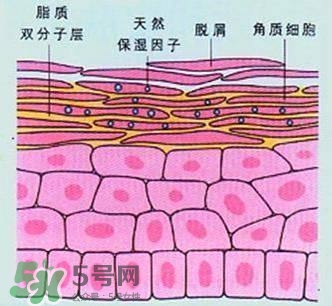 敷面膜真的有效嗎？敷面膜真的有用嗎？