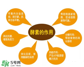 喝酵素拉肚子正常嗎？喝酵素拉肚子的原因