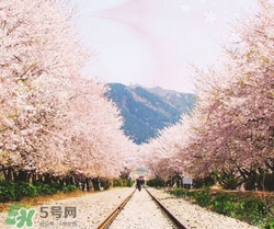 3月份去韓國穿什么？三月份去韓國穿什么衣服？
