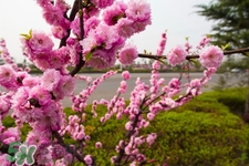 春天養(yǎng)生湯有哪些？春季養(yǎng)生喝什么湯好？