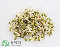 黃豆芽能做餡料嗎？黃豆芽餡包子怎么做？