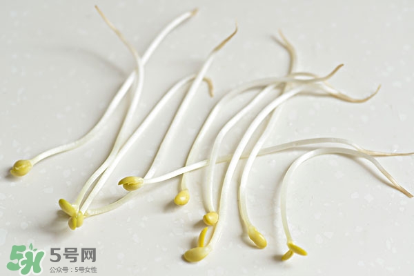 黃豆芽能做餡料嗎？黃豆芽餡包子怎么做？