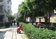 春天吃什么養(yǎng)肝？春季吃什么養(yǎng)肝護(hù)肝？