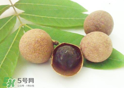 桂圓干多少錢一斤？干桂圓多少錢一斤？