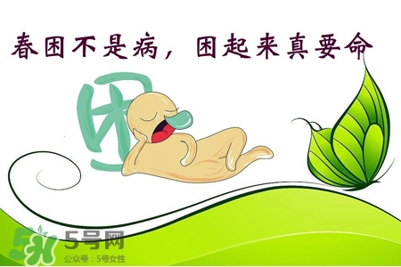 春困開車怎么辦？春天開車易犯困怎么辦？