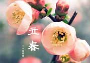 立春后種什么花？立春時(shí)開的花有哪些？