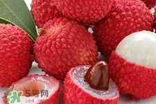 荔枝能放多久？荔枝可以放幾天？