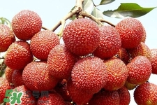 孕期吃荔枝會流產(chǎn)嗎？孕婦吃荔枝會好嗎？