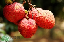 坐飛機(jī)能帶荔枝嗎？荔枝可以帶上飛機(jī)嗎？
