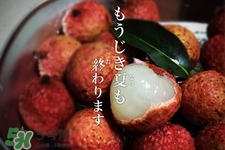 坐飛機(jī)能帶荔枝嗎？荔枝可以帶上飛機(jī)嗎？