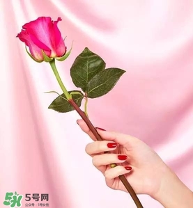 kate spade2017情人節(jié)包包多少錢？凱特絲蓓2017情人節(jié)包包哪里買？
