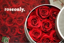 roseonly是怎么火起來(lái)的？roseonly值得買(mǎi)嗎？