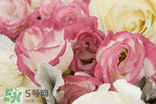 七夕情人節(jié)有必要送花嗎？情人節(jié)為什么要送花？