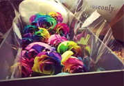 roseonly鮮花多少錢？roseonly永生花多少錢？