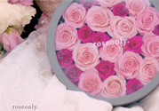 roseonly只能買一次嗎？roseonly如何送第二人？