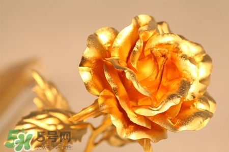 情人節(jié)可以送金玫瑰嗎？情人節(jié)送金玫瑰好嗎？