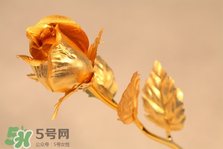 情人節(jié)可以送金玫瑰嗎？情人節(jié)送金玫瑰好嗎？