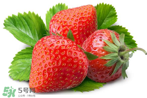小孩多吃草莓好嗎？小孩可以摘草莓嗎？