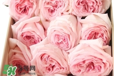 鮮花怎么養(yǎng)？鮮花怎么養(yǎng)放的比較久？